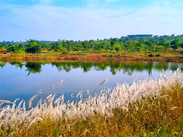 Shraddheya Shri Atal Bihari Vajpayee Botanical Garden-