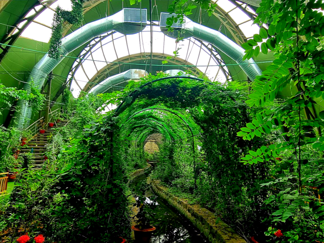 Shraddheya Shri Atal Bihari Vajpayee Botanical Garden-