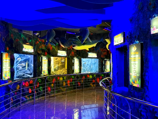 Shraddheya Shri Atal Bihari Vajpayee Botanical Garden-