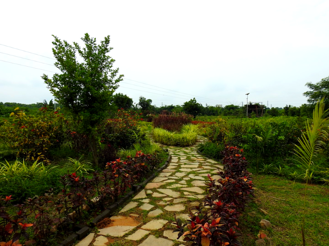 Shraddheya Shri Atal Bihari Vajpayee Botanical Garden-